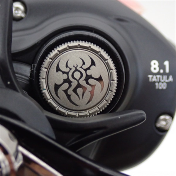 ２４タトゥーラＴＷ１００ＸＨＬ